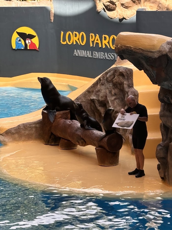 Loro Parc - Zeehond